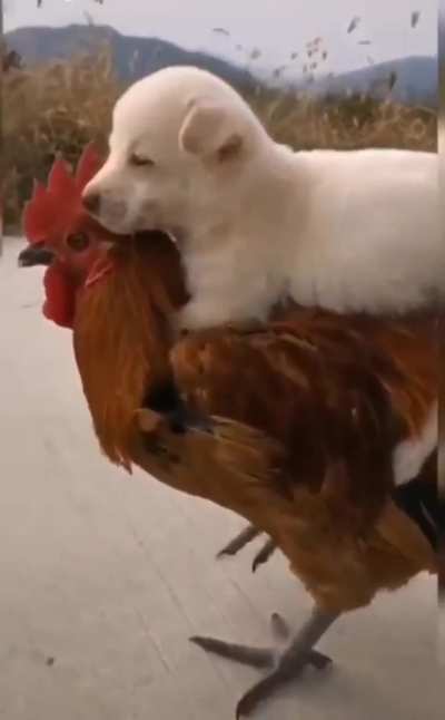 hmmm