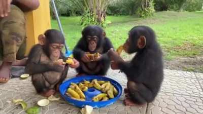 Snack time