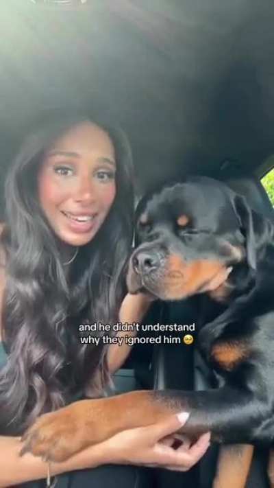 "My big dog that I have no control over scares a mom who rightfully decides to not risk her child&rsquo;s safety, and that hurts my dog&rsquo;s feelings"