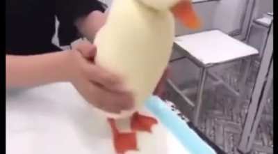 Die perfekte Ente