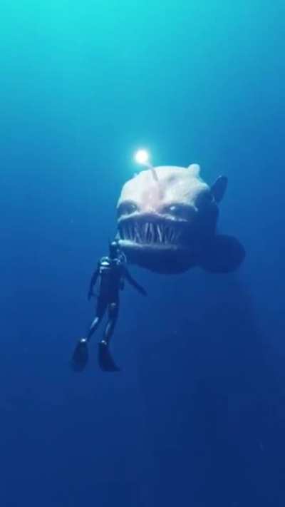 Thanks, I Hate big fish