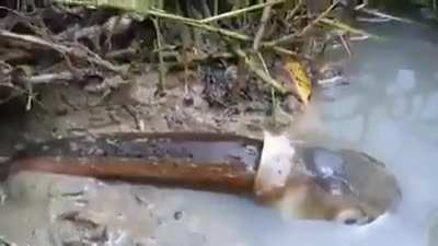 Just look at the fish&rsquo;s eyes