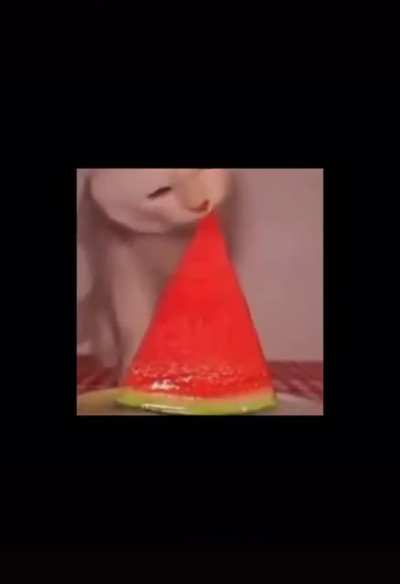 Fofo