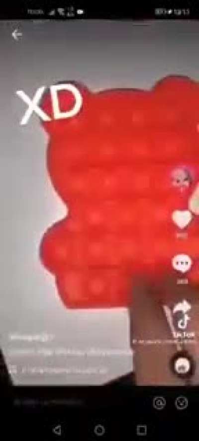 Lamentablemente me voy de tiktok