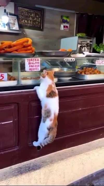 Salami to go please
