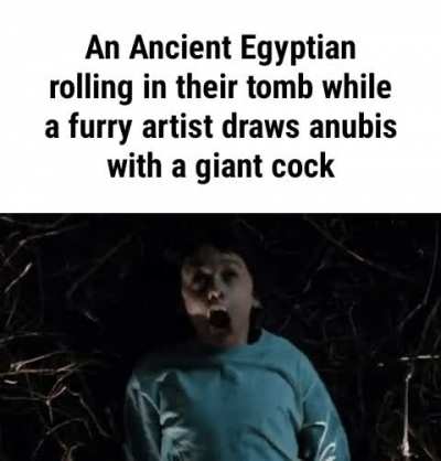 Furry_irl