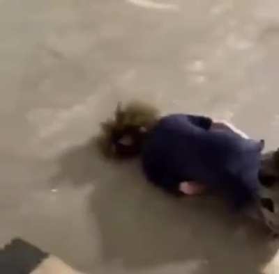 *bonk*