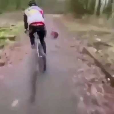 the kid deserved it