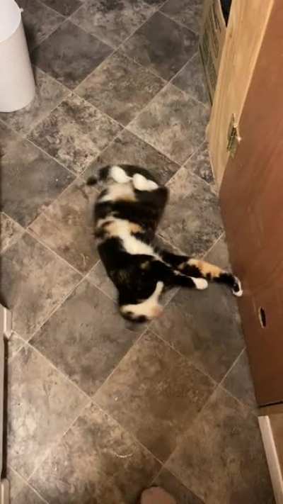 This is her &ldquo;Please give me attention&rdquo; dance