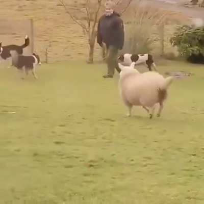 Maybe Maybe Maybe