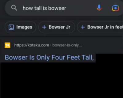How tall is bowser?