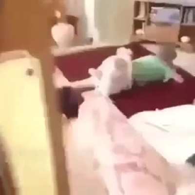 xd