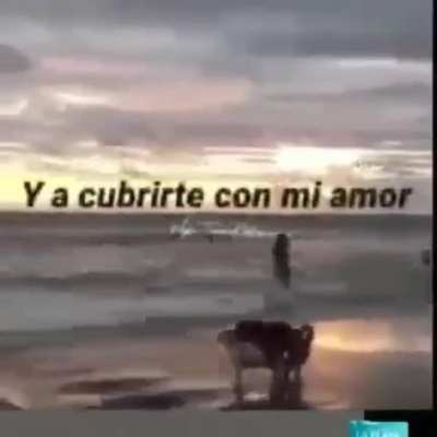 lov