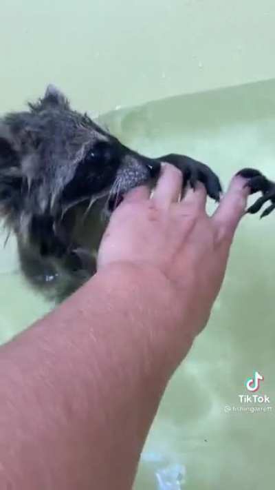 Bath time :D