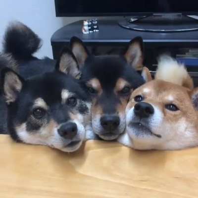 Name a more iconic trio...I'll wait