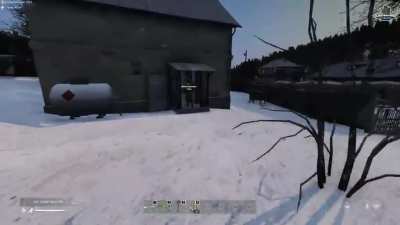Bear Scare