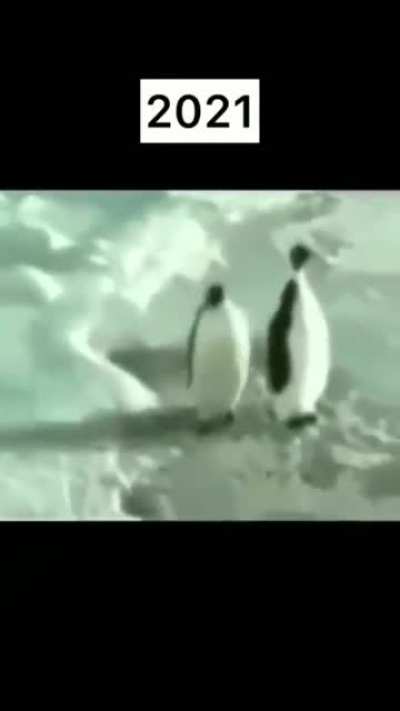 Evolução ?