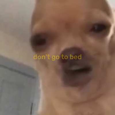 🎶Don't stay awake for too long🎶