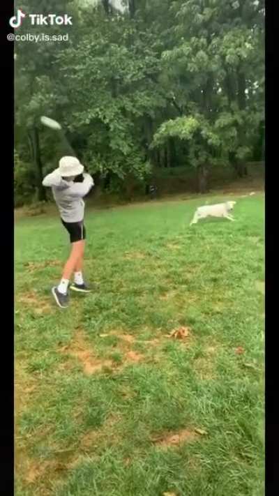 The dog