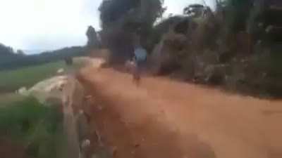 Daniel Molo morre ap&oacute;s puxar a vinheta 😭