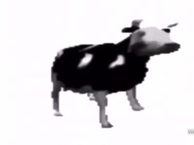 esta vaca con cualquier canci&oacute;n es buena