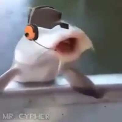 Feesh