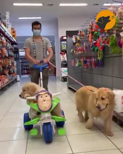 You&rsquo;ve got a friend in me