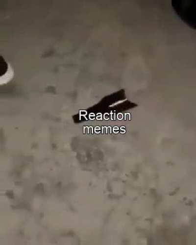 What a community