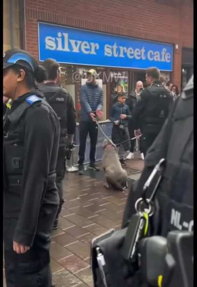 Police take Family Dog & Public are not happy about it (Not my footage)