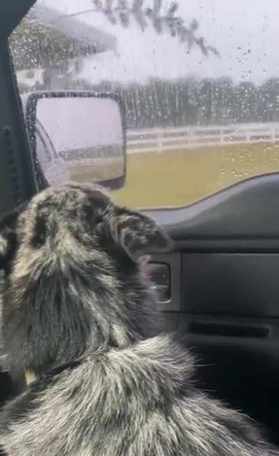 Poor Bandit&hellip;