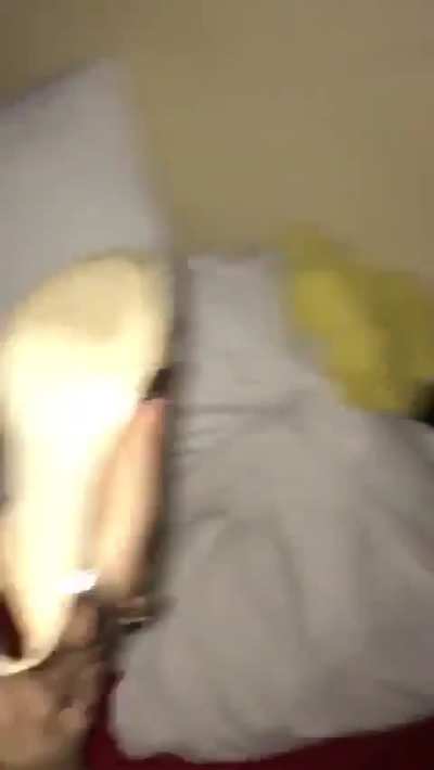 🖤🤎
