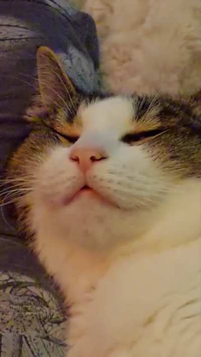 Little twitchy boy woke himself up