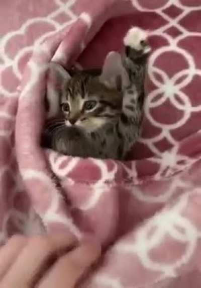 Hands up!
