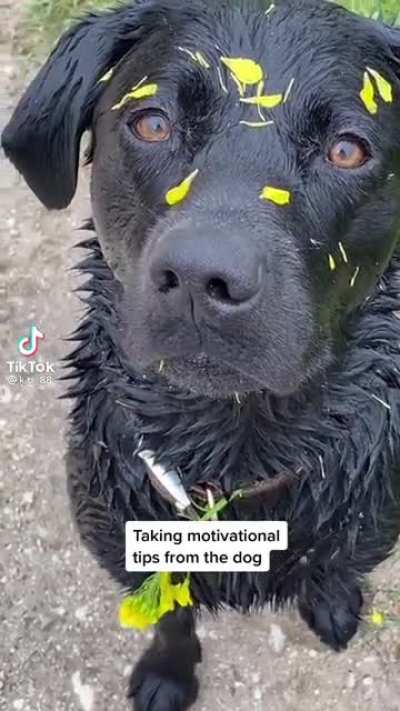 Motivational tips