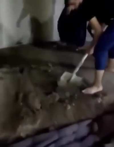 Brincadeira saud&aacute;vel