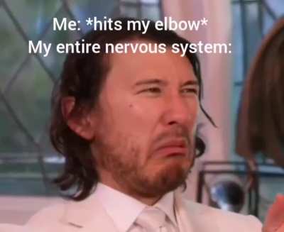 a MEME