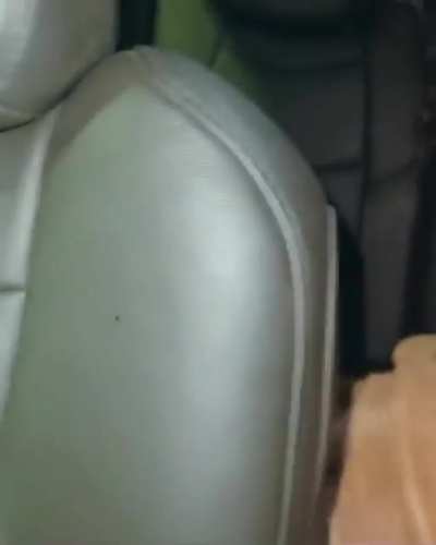 🍑