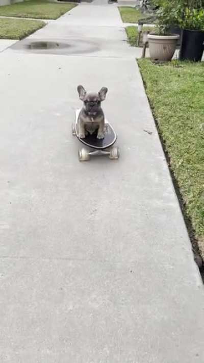 Learning to skateboard