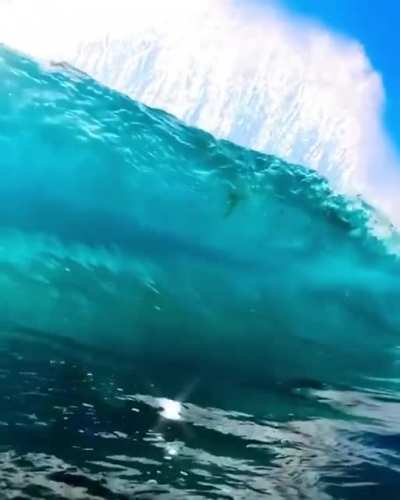 That's some damn clean water
