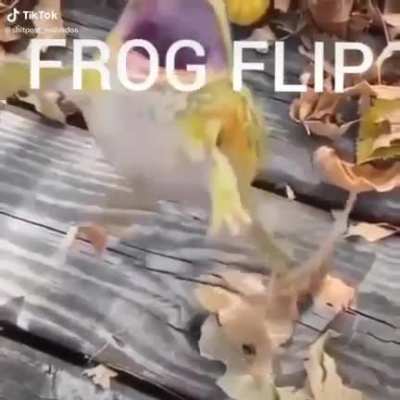 Oooooo