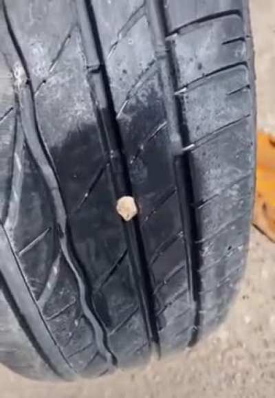 Gets rock out of car..