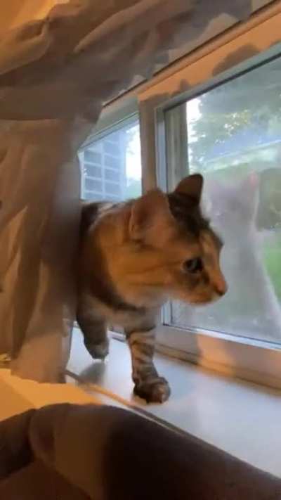 Enjoying the view outside