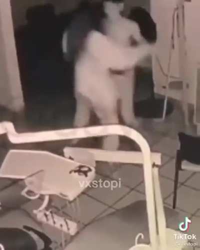 Cuando