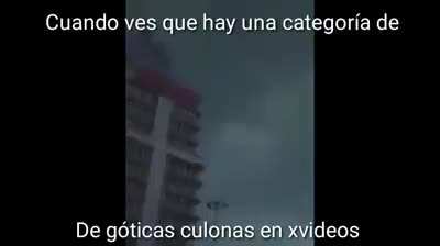 XD