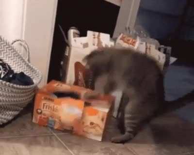 Jack in a box.