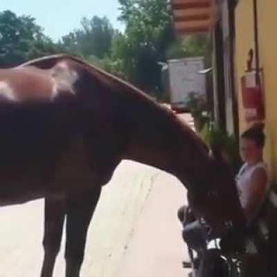 Cavaaalo?