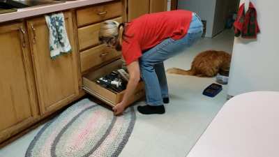 He just crawled through as soon as it was open