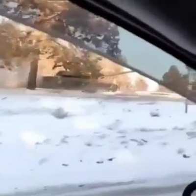 Meanwhile in russia