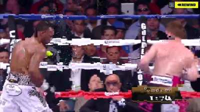 Sa&uacute;l "Canelo" &Aacute;lvarez vs the slick Southpaw Austin "No Doubt" Trout highlights.