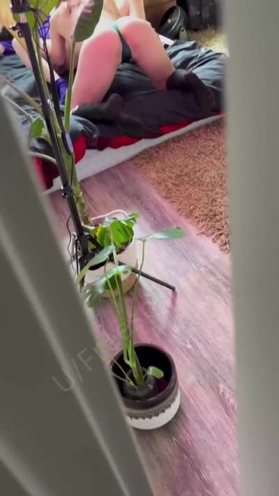 I couldn’t resist recording when I caught them